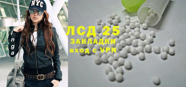 стафф Вяземский