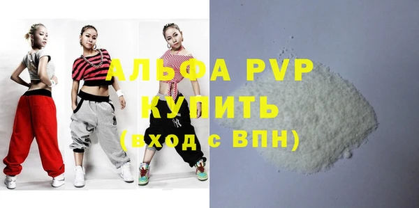 стафф Вяземский