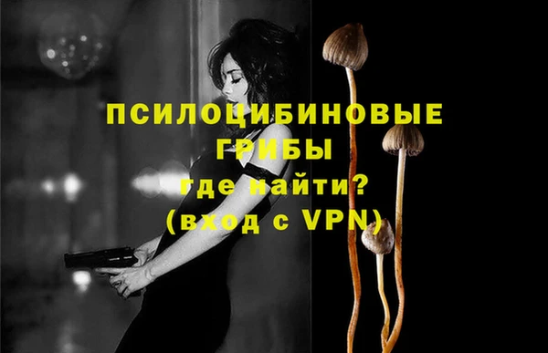 бошки Вязники