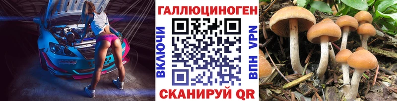 Псилоцибиновые грибы мухоморы  Купить закладки  Реутов 