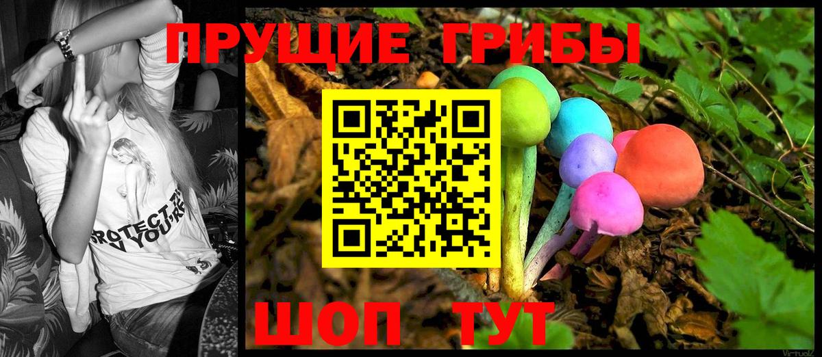 Реутов  Псилоцибиновые грибы MAGIC MUSHROOMS  Вход с VPN  Псилоцибиновые грибы ЛСД 
