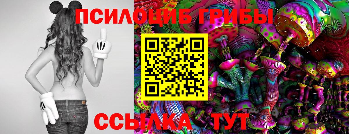 Галлюциногенные грибы MAGIC MUSHROOMS  Реутов 