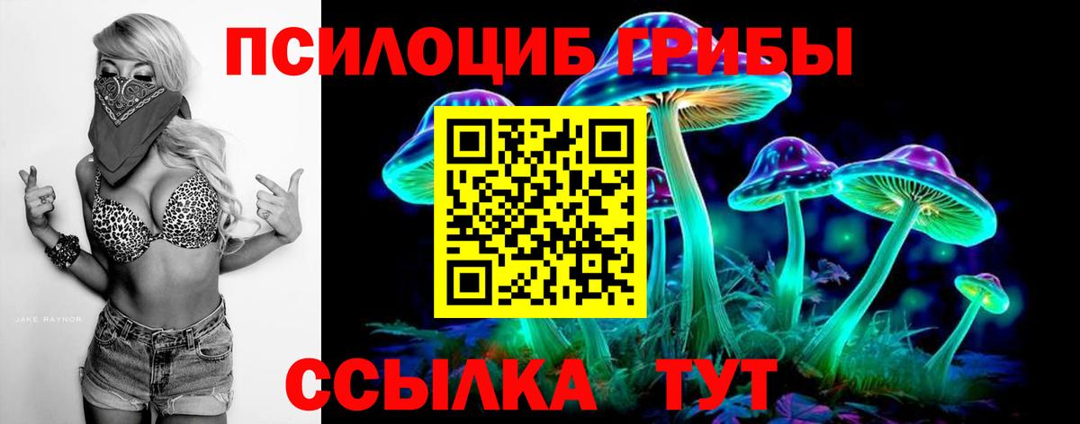 Галлюциногенные грибы Psilocybine cubensis Реутов